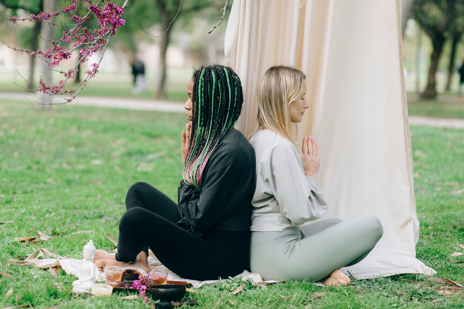 Wellness retreats